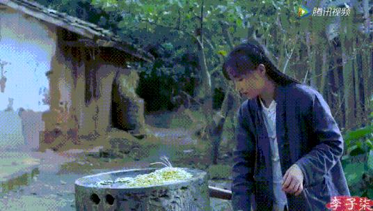 娶妻当娶李子柒小说作品列表,娶妻当娶李子柒前一句是啥