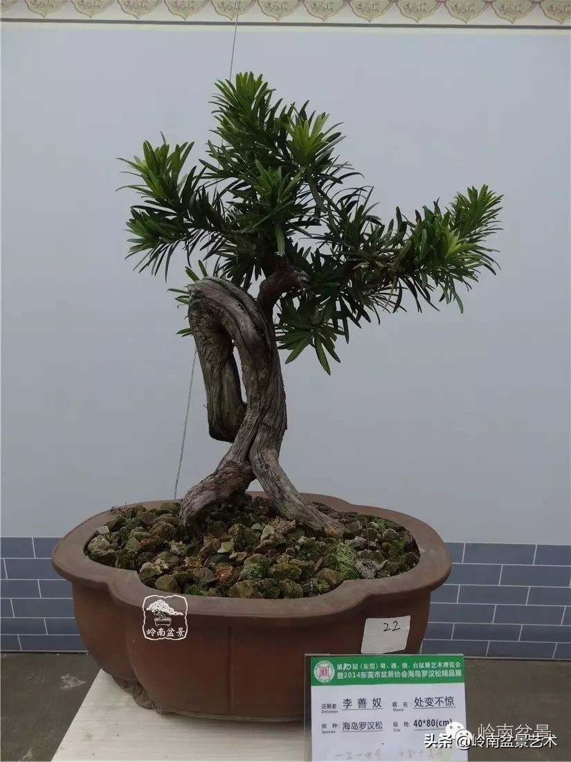 开运招财，非其莫属！清风雅韵，当之无愧！