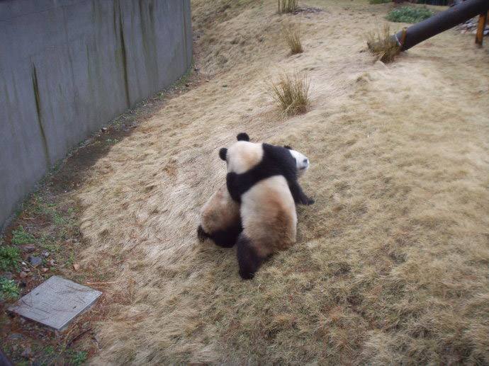 这4双被遗忘的实战好鞋,好看不贵