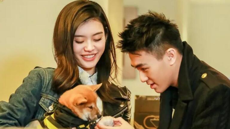 何猷君分享追求奚梦瑶过程,何猷君用什么方式打动奚梦瑶的心