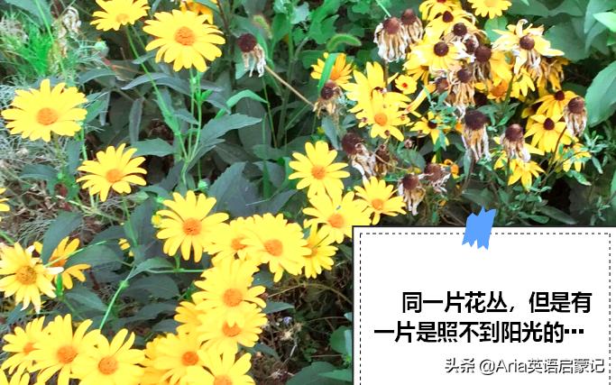 那些一直被否定的孩子长大了,什么事都指责孩子会怎么样