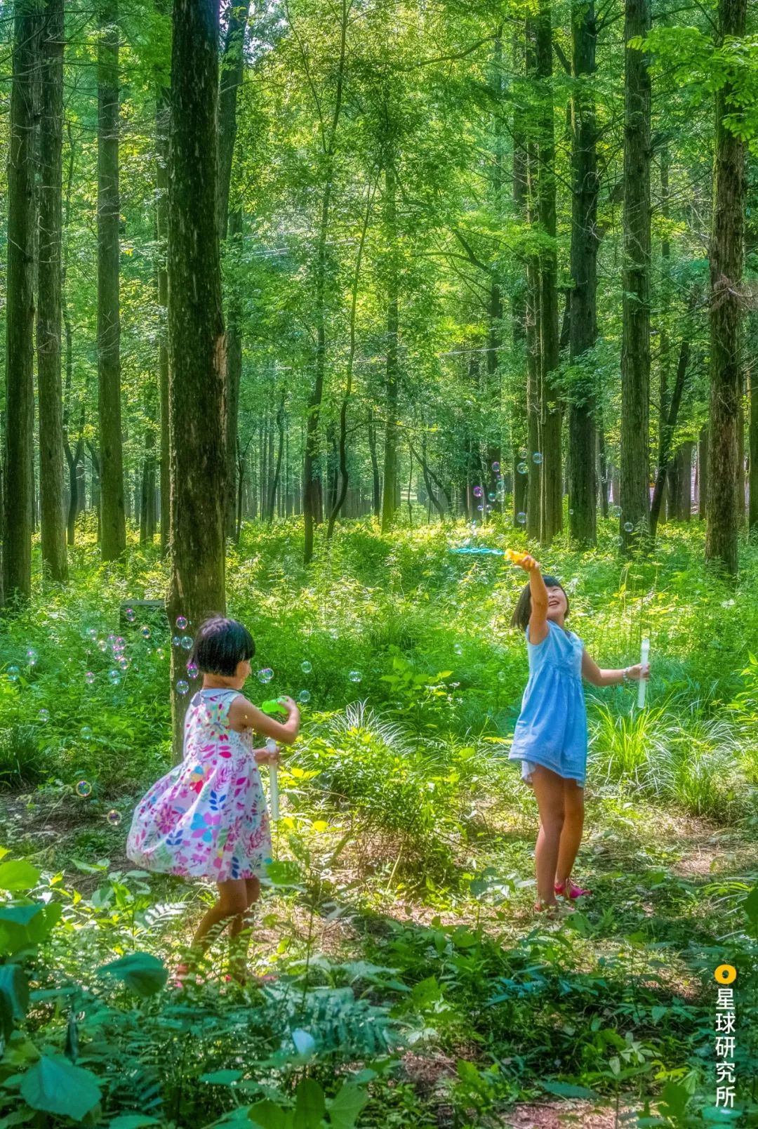 宜昌被低估的城市,湖北低估的旅游景点