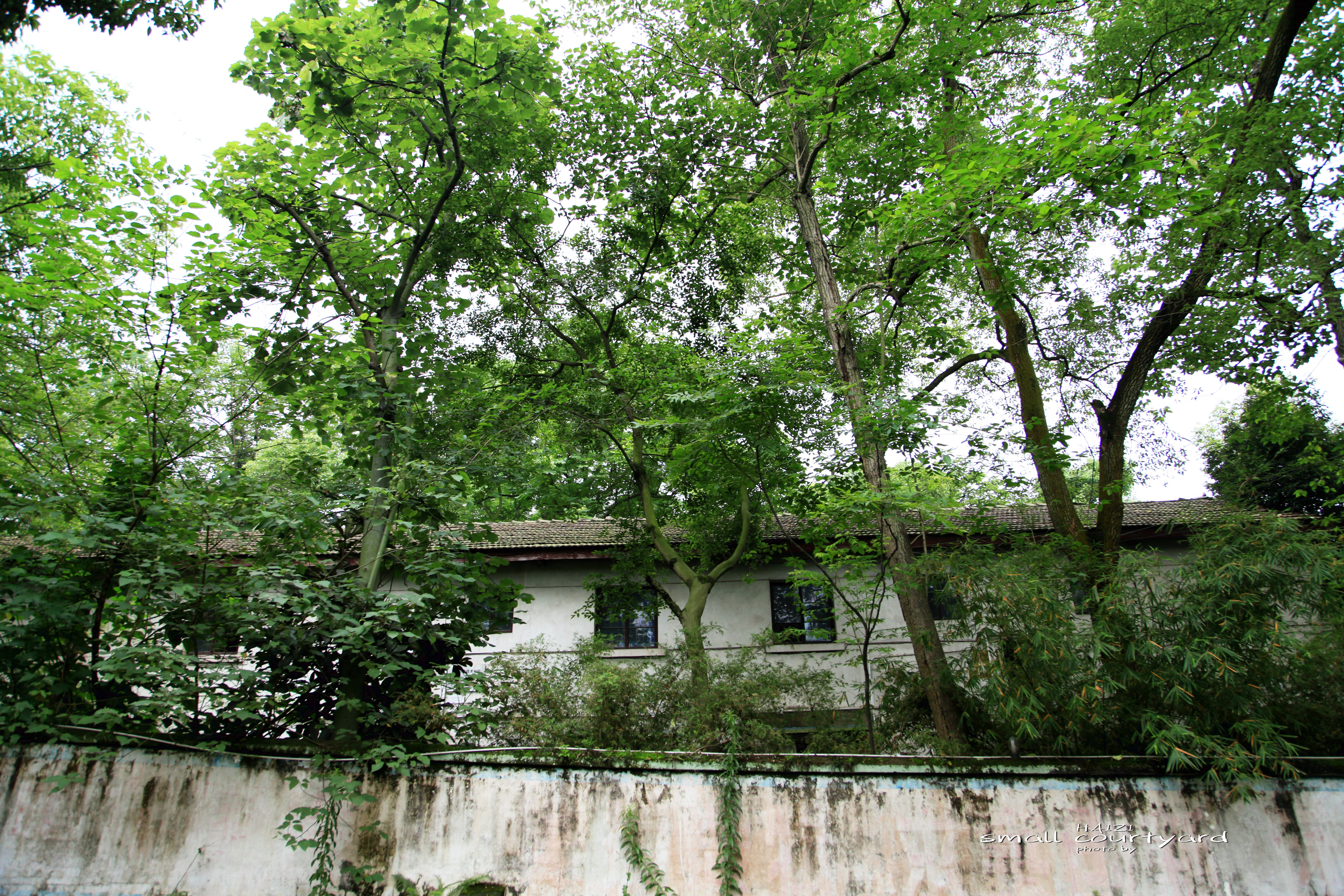 北碚区原三线建设老厂区,北碚机械工业部第三设计院