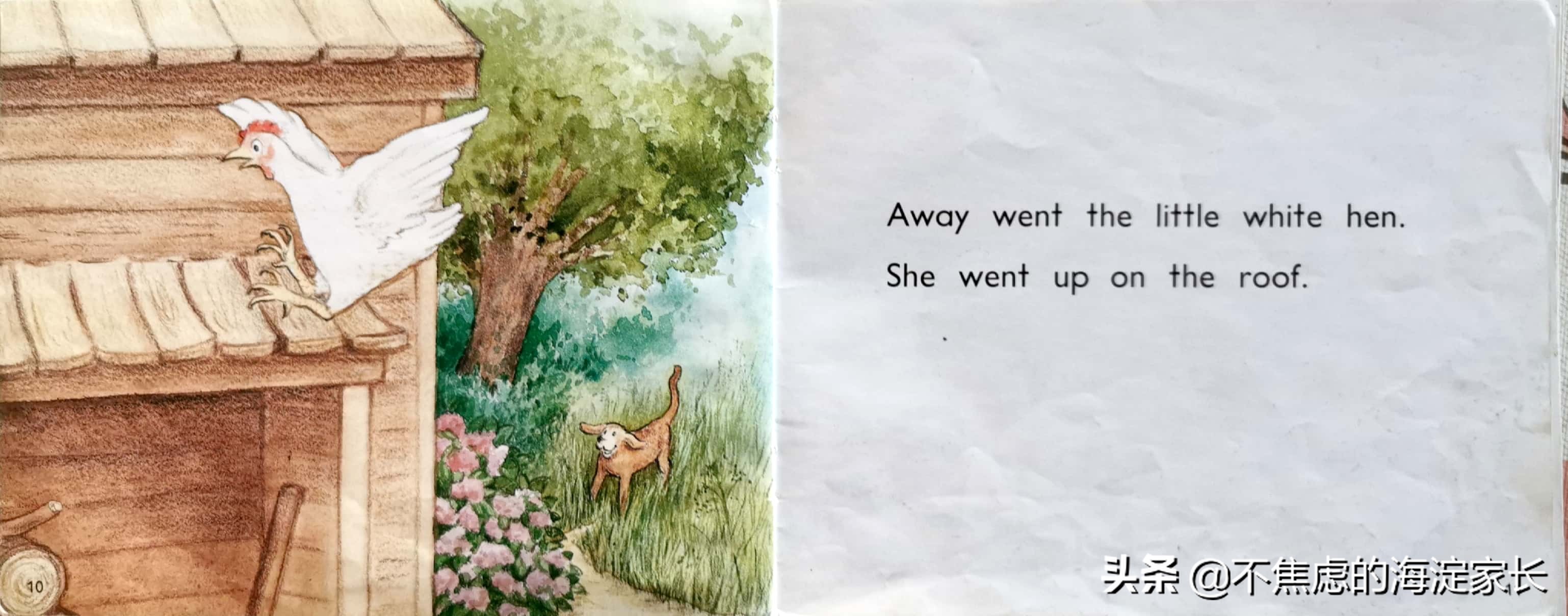 二年级新西兰本土读物,新西兰一年级小学生读物