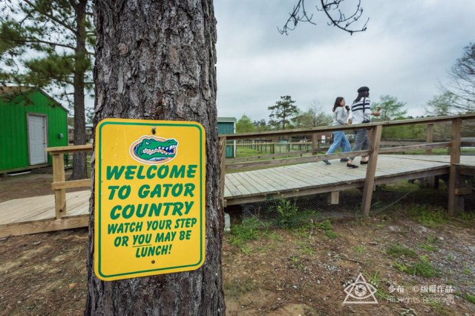 鳄鱼宝宝好用吗,鳄鱼宝宝婴儿用着怎么样