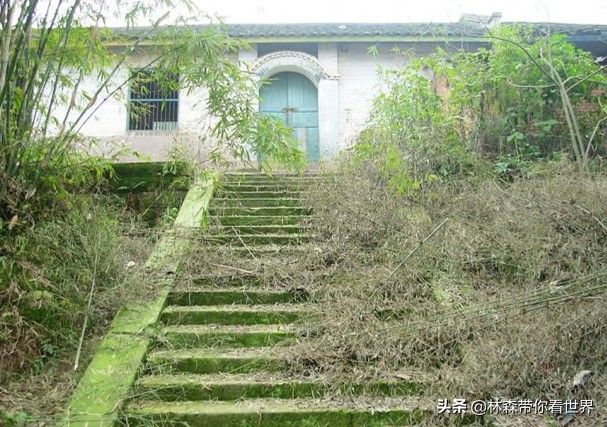 林森完整版免费观看,林森完整视频