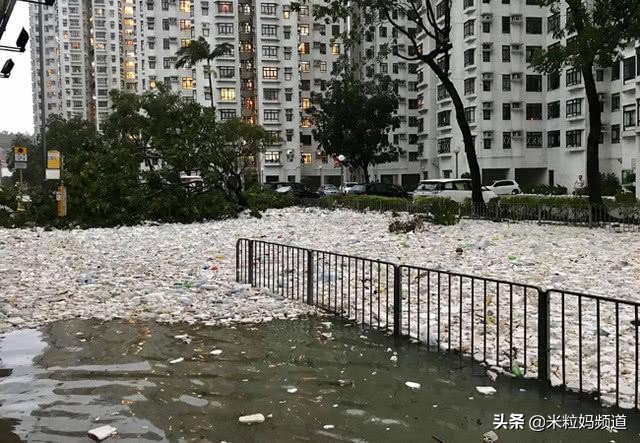 全国人看上海,大家都在关注垃圾分类