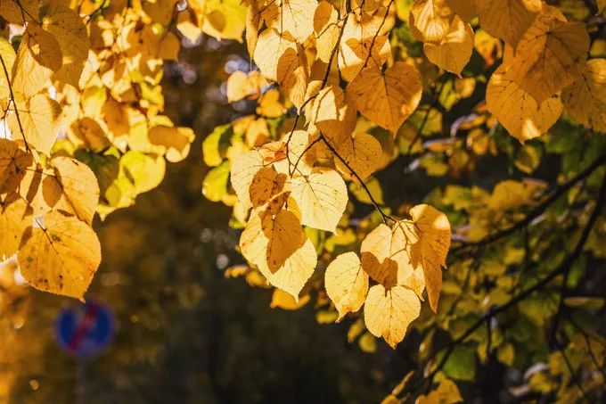 游记｜波兰—你所不知道的童话国度