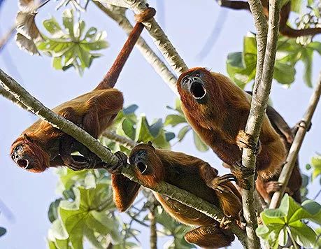 八大主题海洋乐园,全球十大不可思议的水上乐园