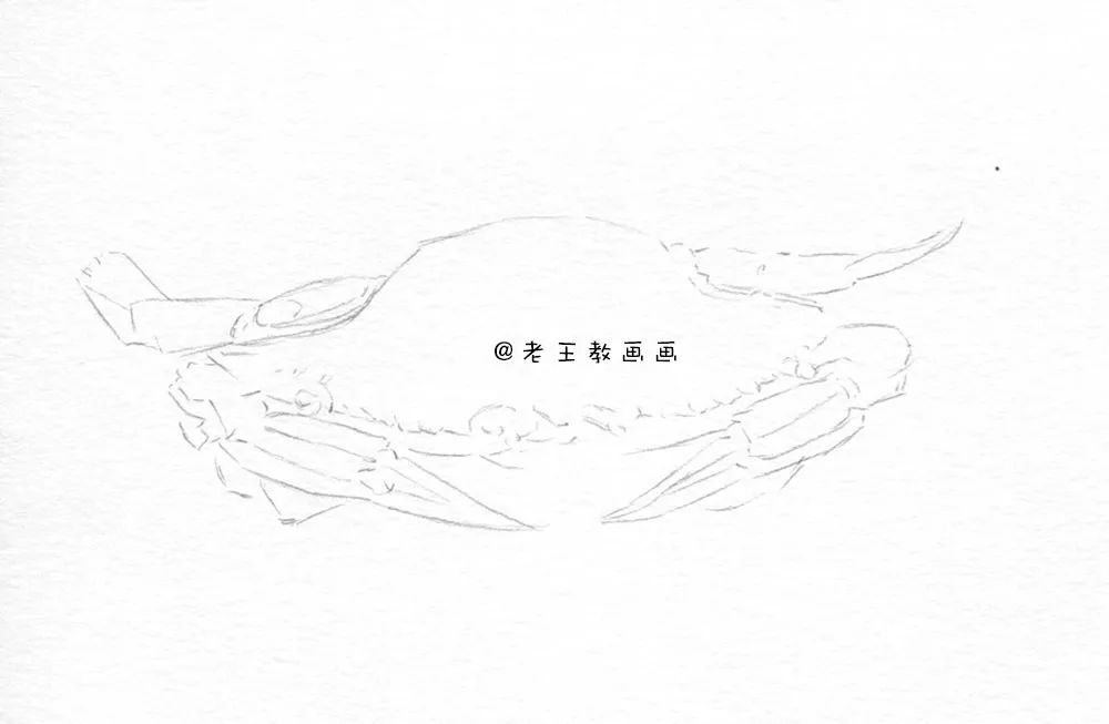 零基础自学画螃蟹入门,零基础学画螃蟹