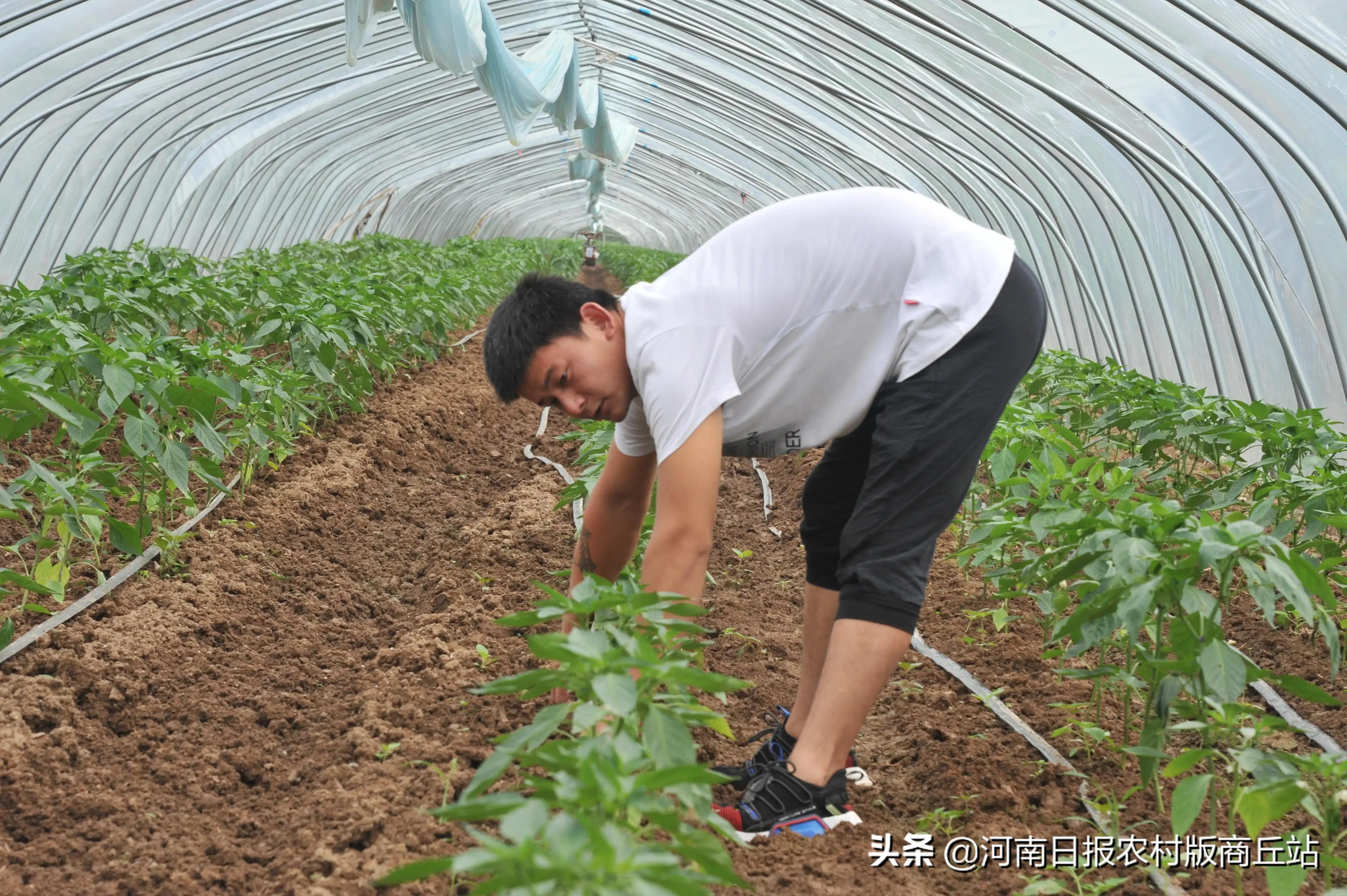 女童不慎落水还好有人相救,孩子不慎落水群众前赴后继相救