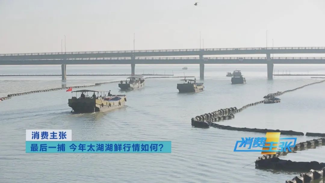 直击太湖开湖现场！鲜美湖鲜大量上市，资深吃货准备好了吗？