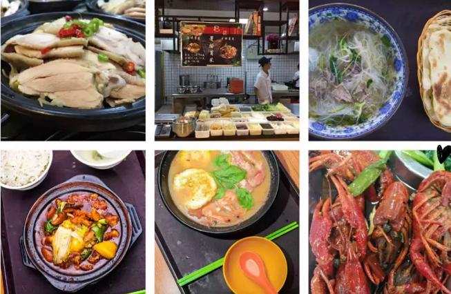 南京单个校区占地面积最大的学校,南京面积最大的单个高校