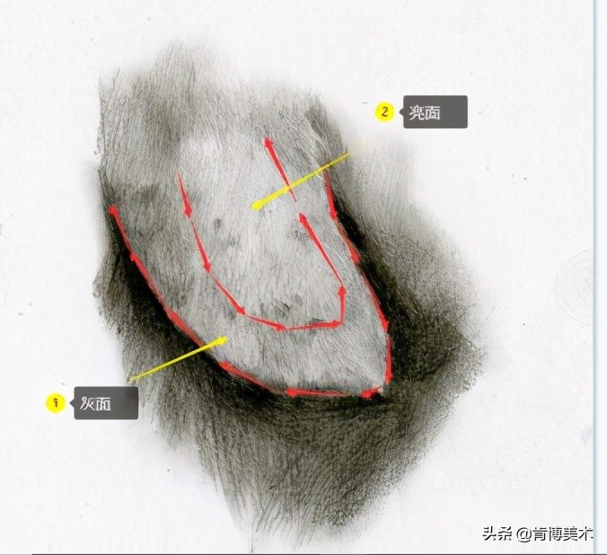 动物毛发素描,素描如何表现动物毛发