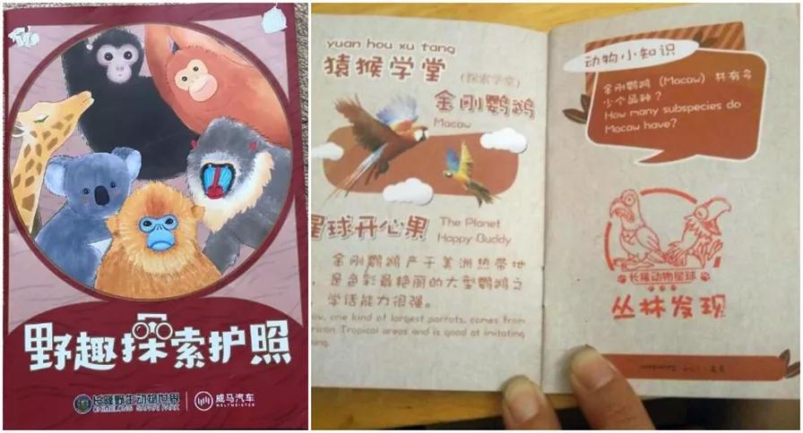 动物园怎么玩的具体介绍,动物园怎么玩更好玩