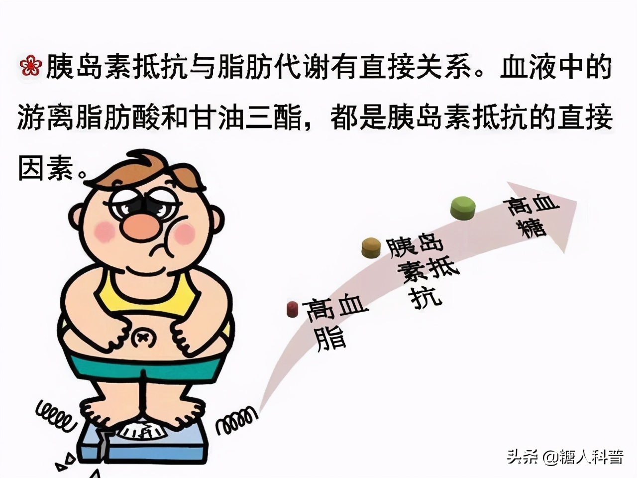 二甲双胍消除胰岛素抵抗,彻底消除胰岛素抵抗的方法