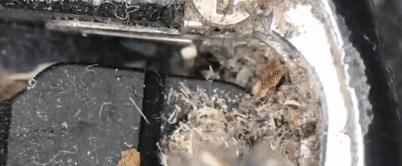 你的手机干净么,手机脏了正确清理方法