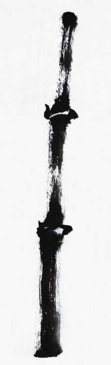 画竹子的简单画法水墨初学,竹子没骨画教程