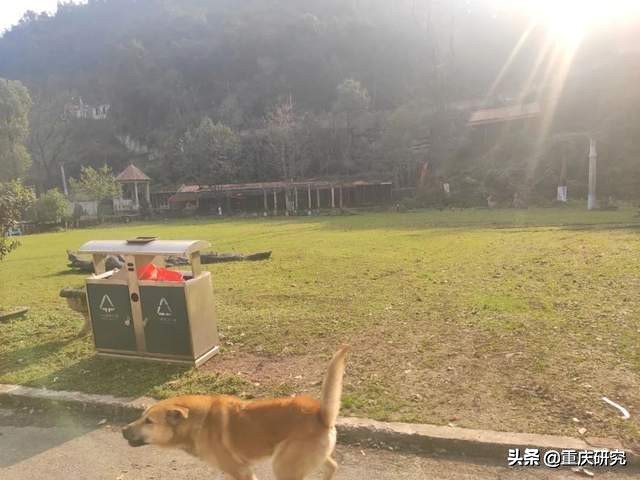 探秘荒废的城堡,探秘废弃堡垒