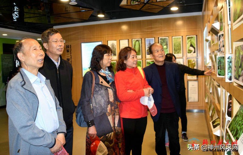 中国科协科普活动,老科协科普活动纪实