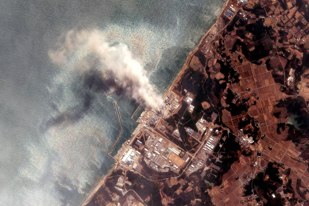 核变异双头龟,日本变异双头龟