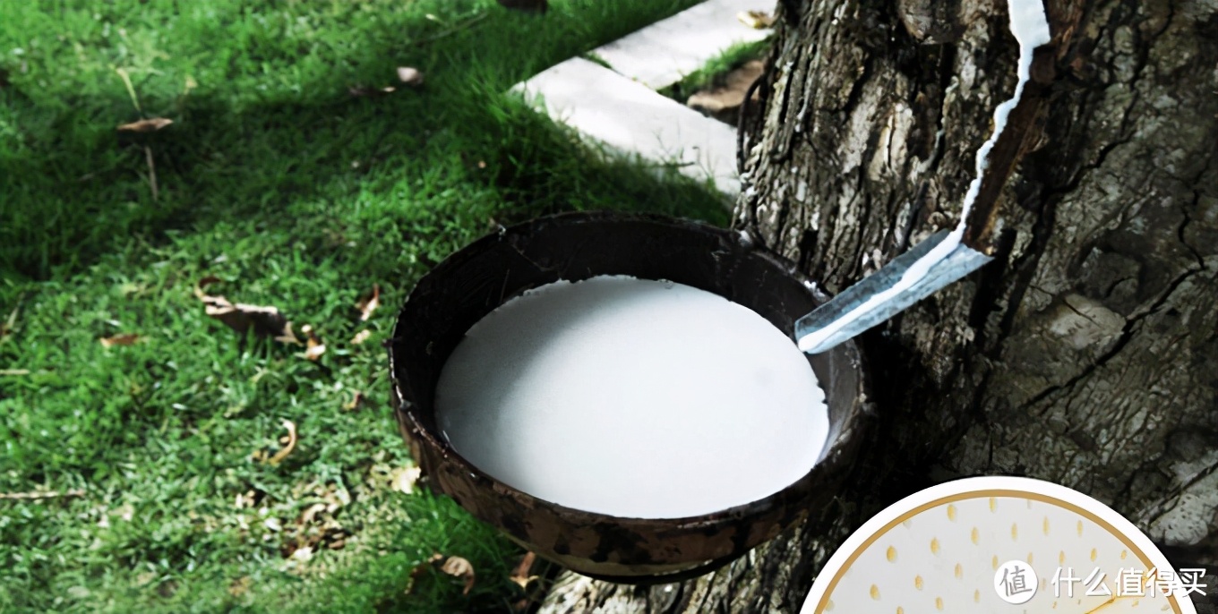 如何正确选择乳胶枕,怎样选乳胶枕不踩坑