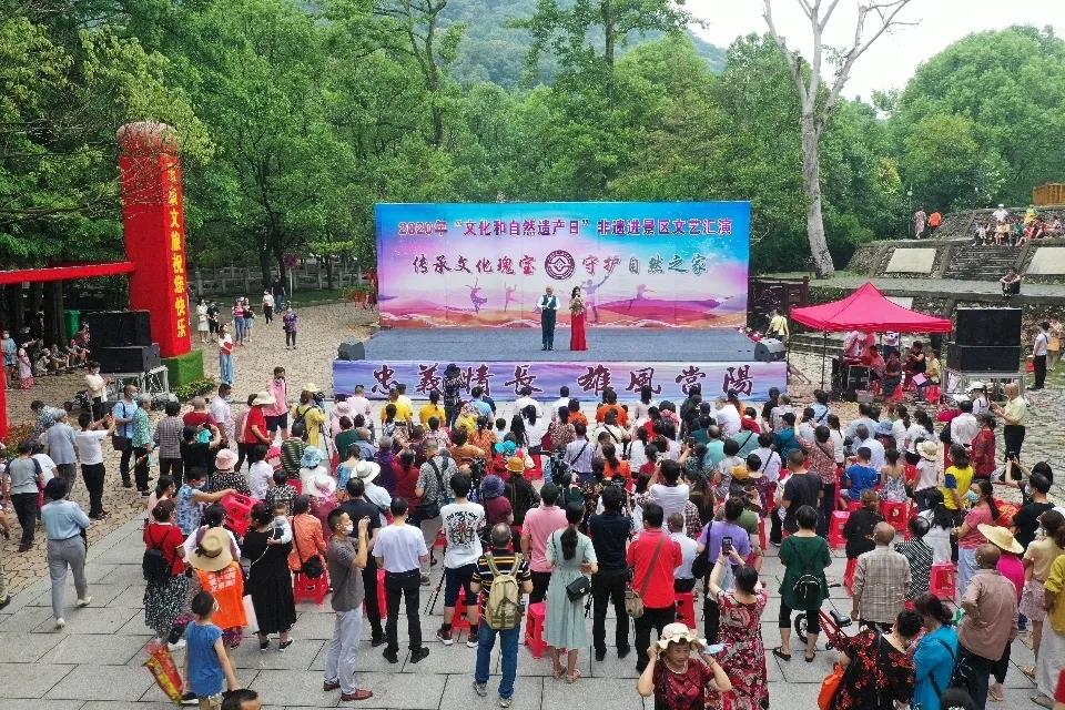 文化视野深度解析,文化视野下的文化视野