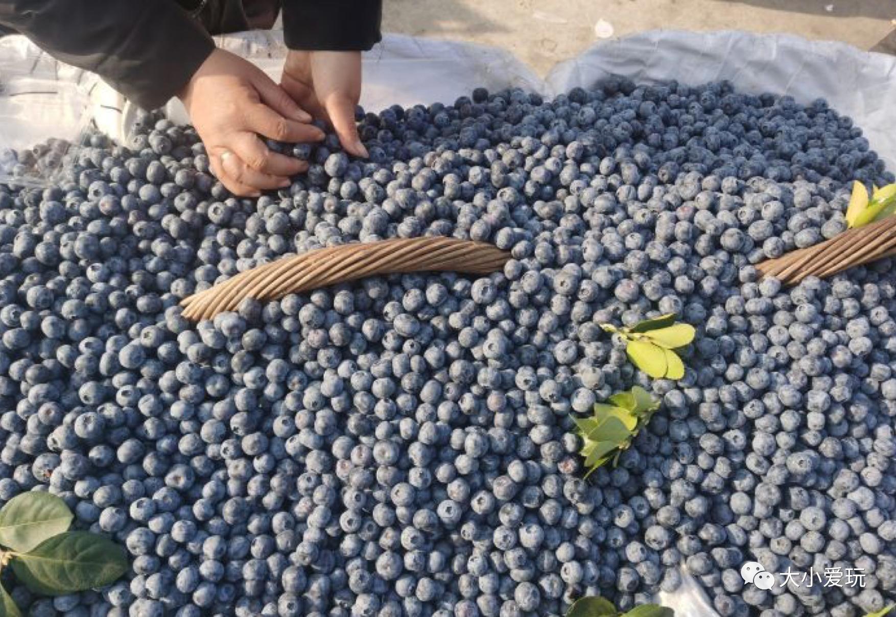 2018北京京郊大集,北京必逛的5个大集