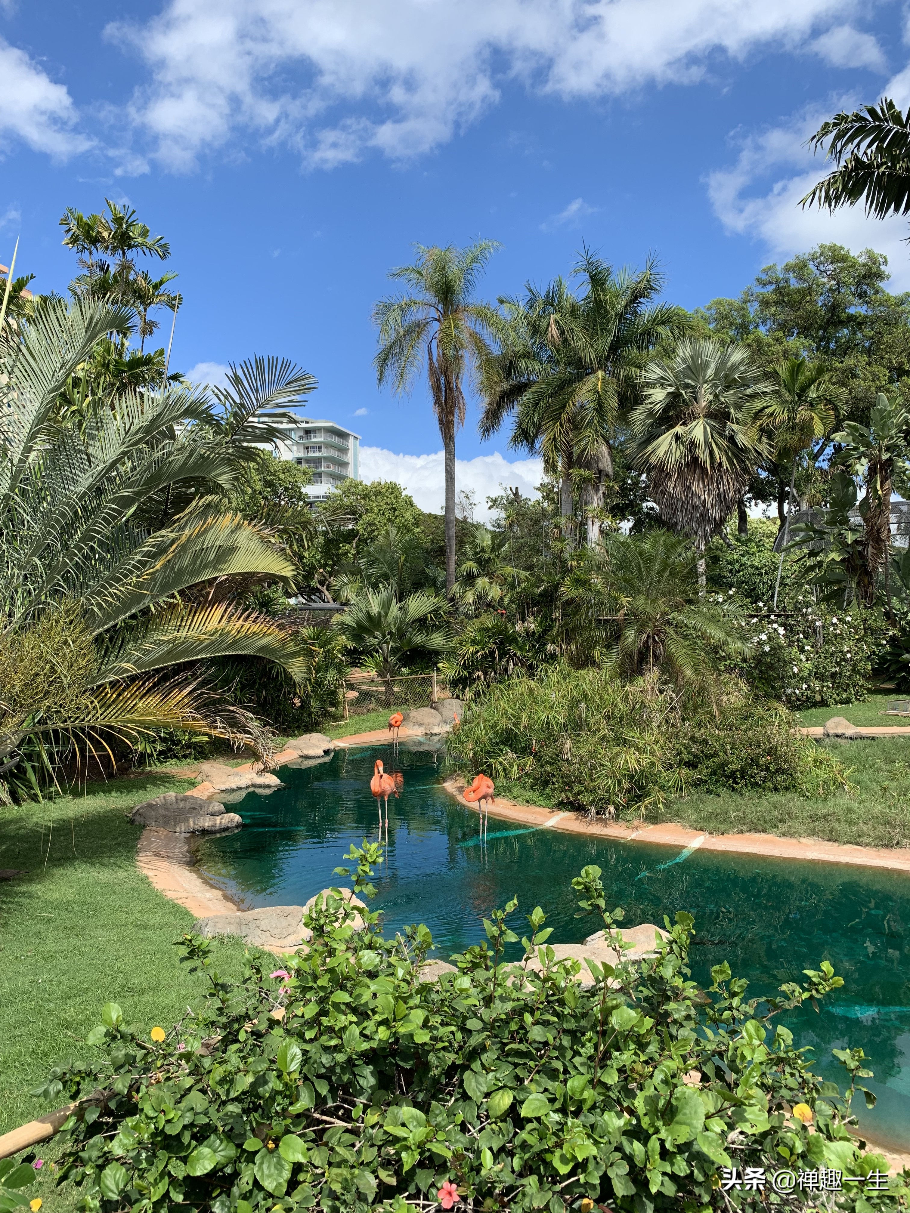 西班牙人哪里有好玩的,西班牙人看巴塞罗那