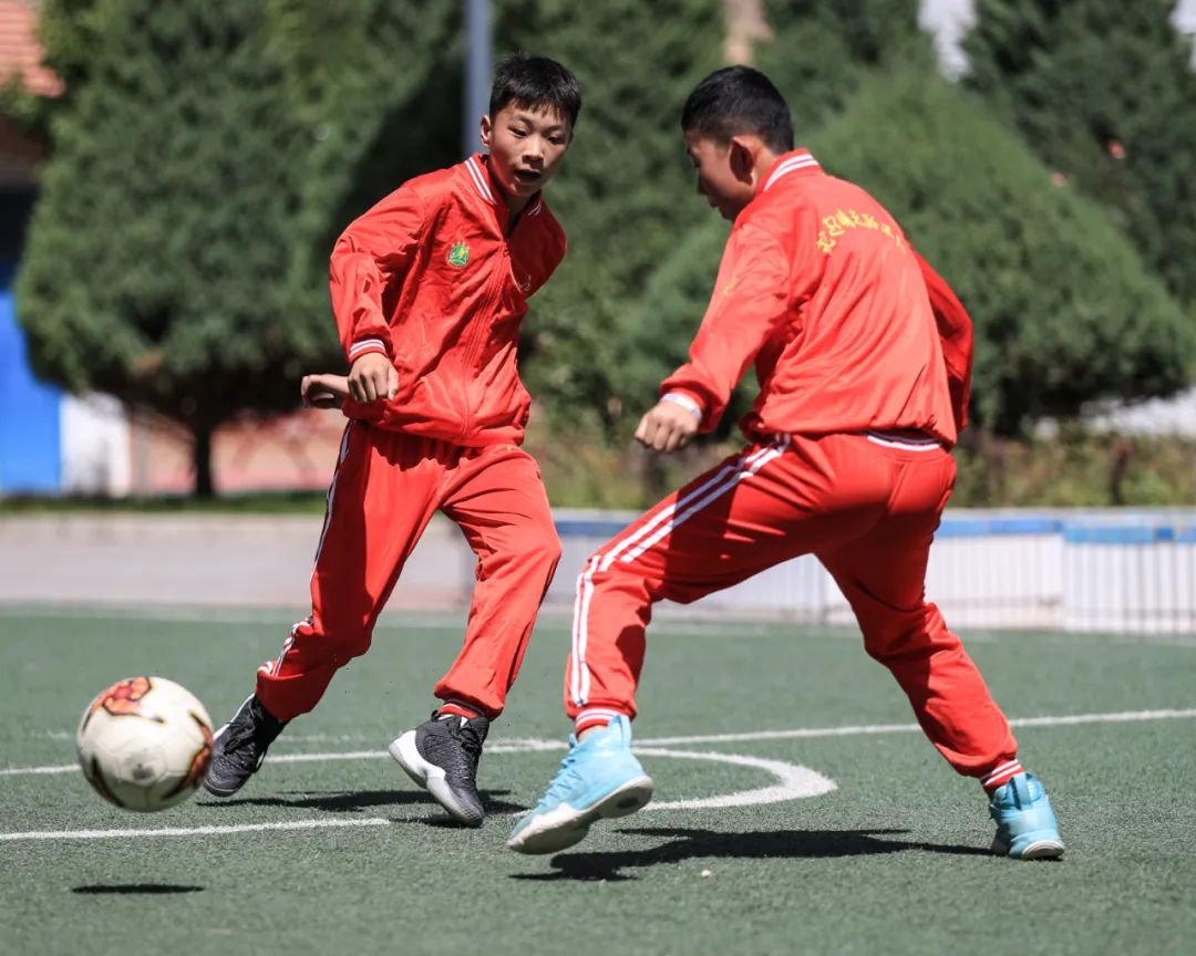 璧拌繘绾㈣壊鏂囧寲浼犳壙绾㈣壊鍩哄洜,璧拌繘绾㈣壊鐑湡浼犳壙绾㈣壊鍩哄洜