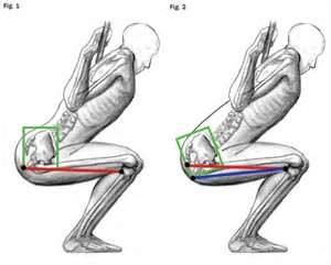 半深蹲好还是全深蹲对前列腺好,深蹲锻炼对前列腺有效吗