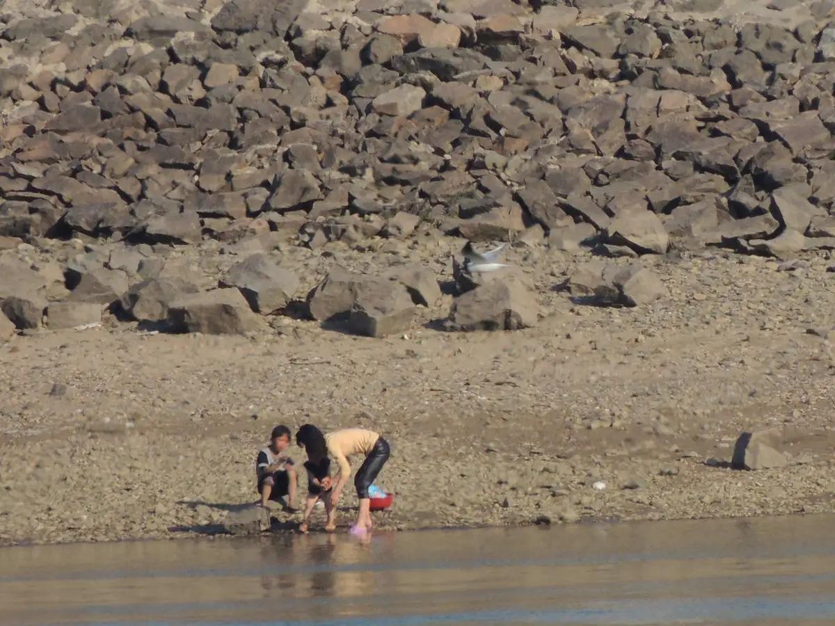 朝鲜医疗免费住房免费,朝鲜免费住宅图片