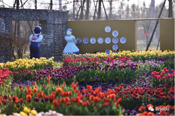 【慢游新天府，感受新成都】端午节特辑（二）|世界冠军蒋文文、蒋婷婷带你去逛川西林盘和特色小镇打卡地