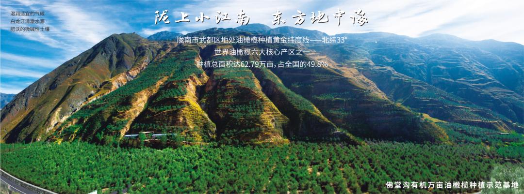 中国国际金奖橄榄油,中国橄榄油获奖