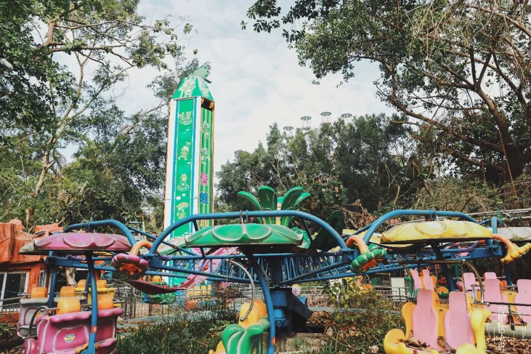 现在的深圳罗湖现状,深圳罗湖为什么发展起来