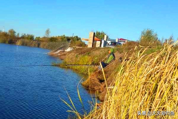 东风南风西风北风的风向怎么判断,钓鲢鳙风向南风好还是北风好