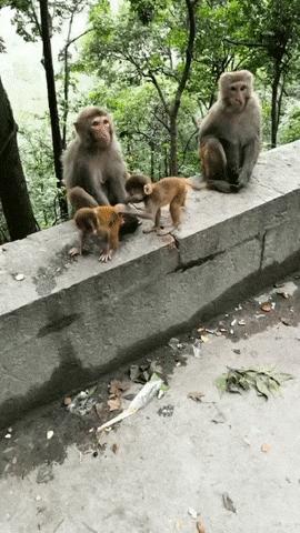 喝醉了第二天醒来精神很好,喝醉酒了第二天再喝一杯