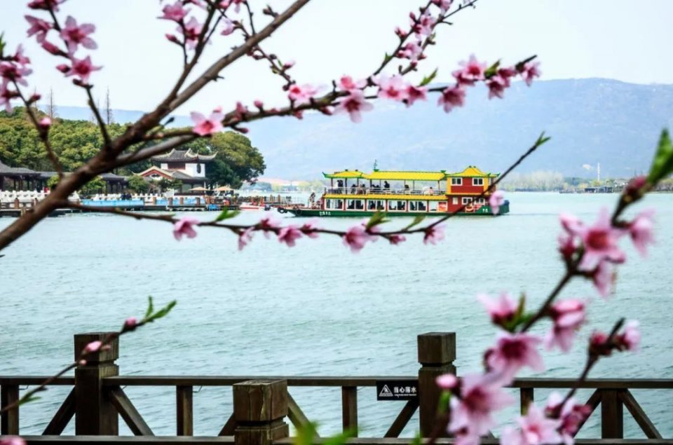 壮观！千万游客“云”游尚湖，新晋“男神”火爆上线！