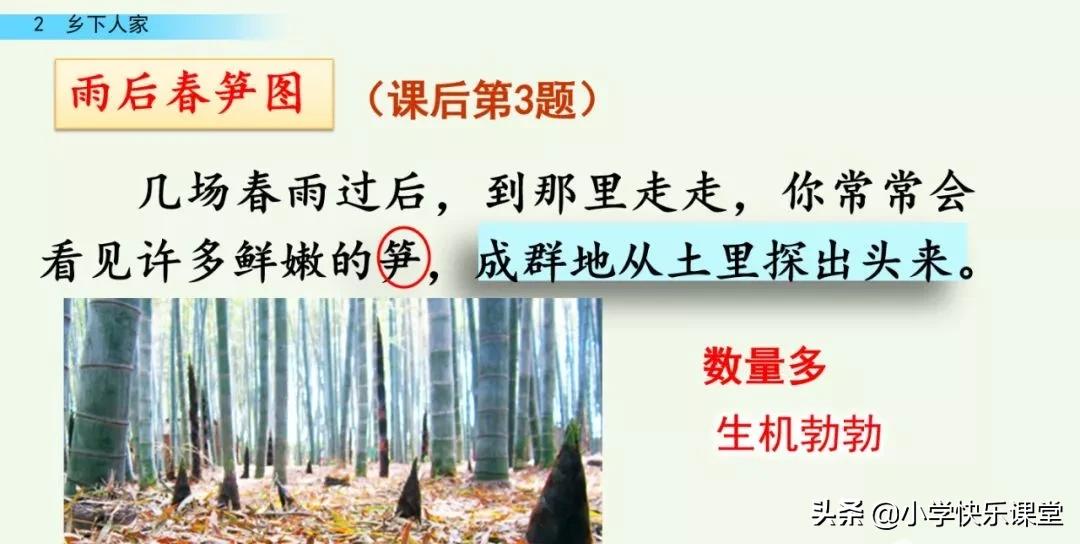 部编四年级下册语文乡下人家练习,部编版四年级下乡下人家同步练习