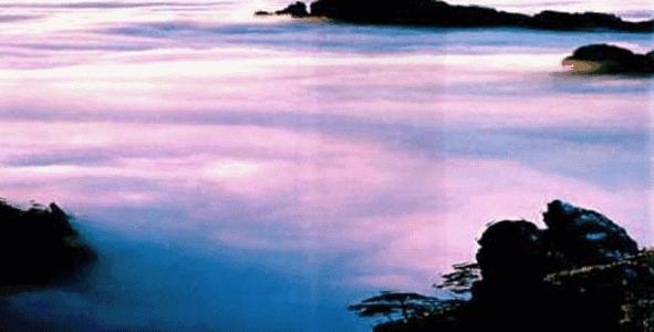 五年级上册语文第17课松鼠概括,五年级语文上册17课松鼠课文讲解