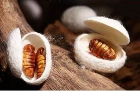 各种被芯,被芯哪种材质比较好