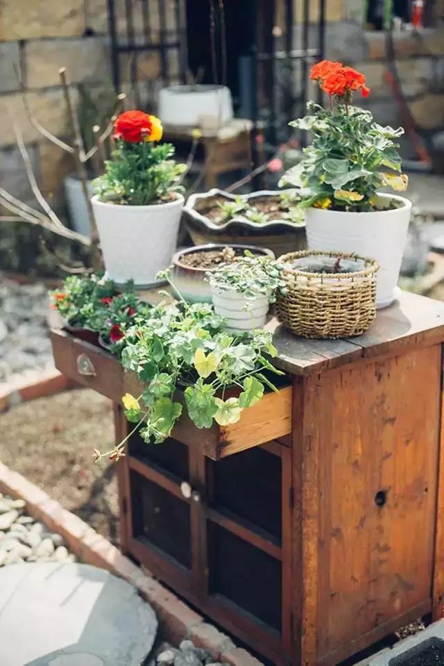 10000块能做点什么,10000块钱能做什么