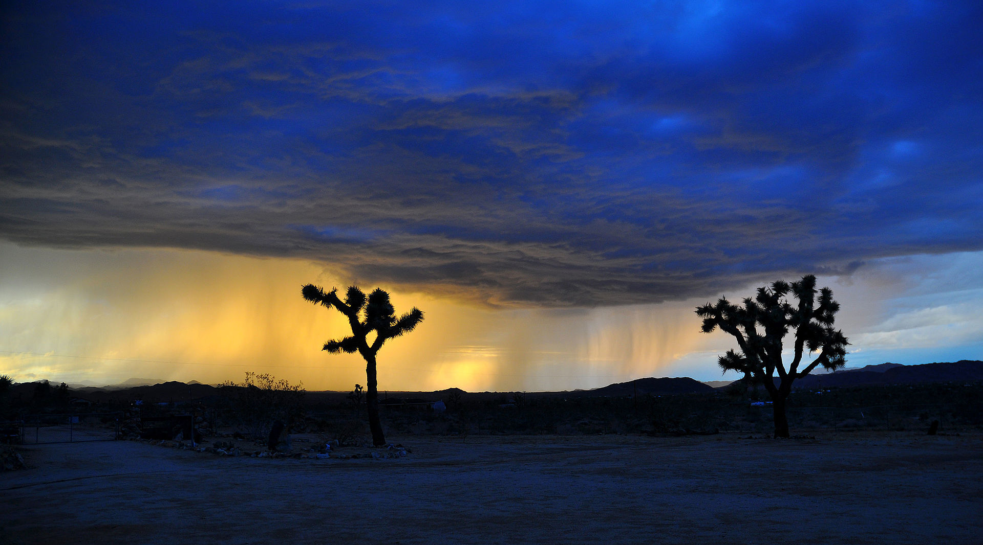 1998年刚果足球赛雷击11人遇难,1998刚果球赛视频