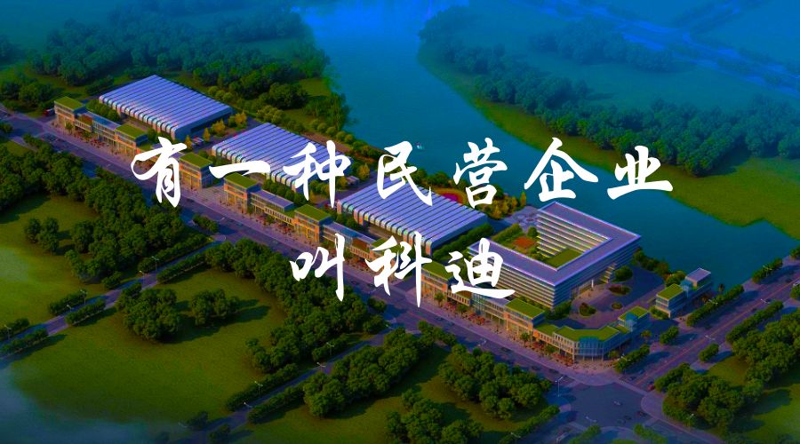 重新发现虞城之三：有一种民营企业叫科迪