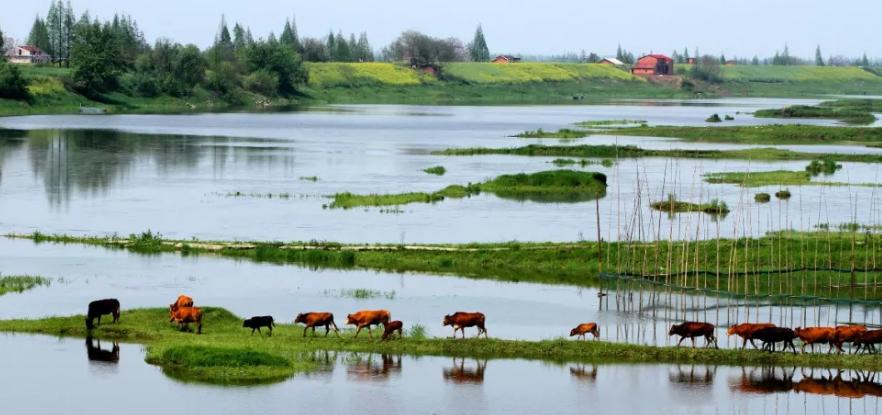 木匠断指逆袭挂面大王每天卖900万,挂面大王成功的秘诀