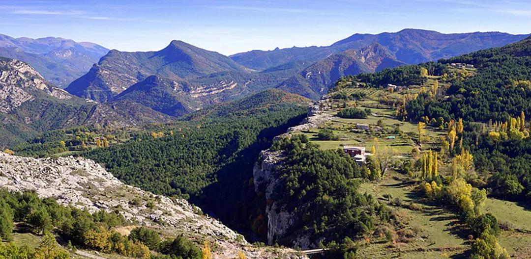 如何做到乡村振兴产业兴旺,未来5年乡村产业振兴