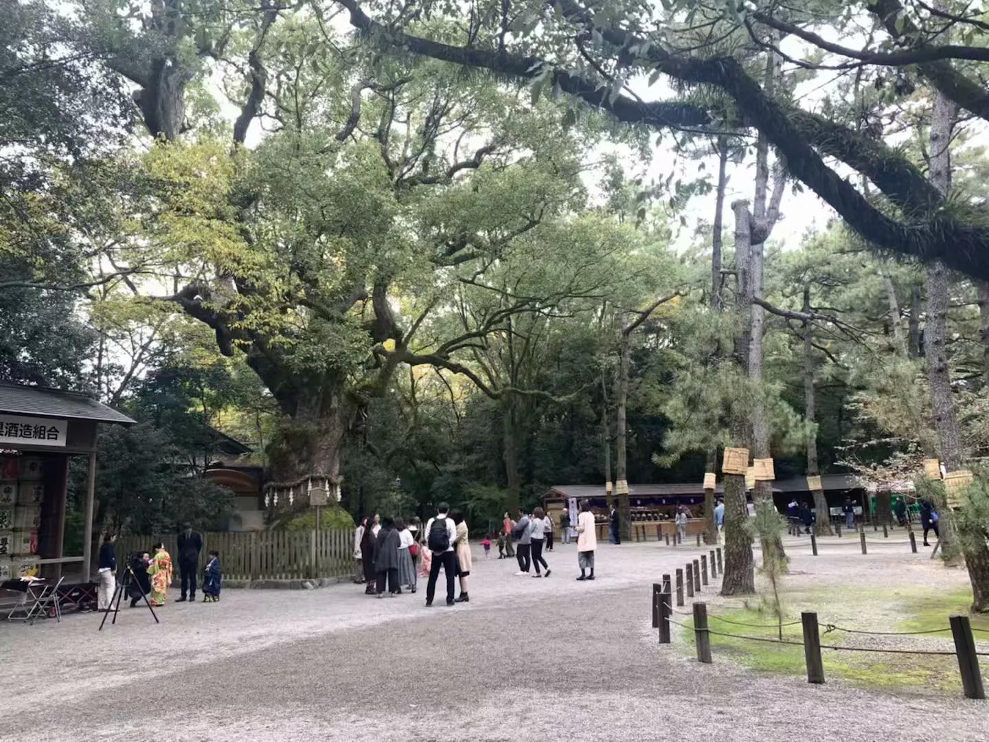 日本名古屋景点玩乐,日本名古屋旅游必需品