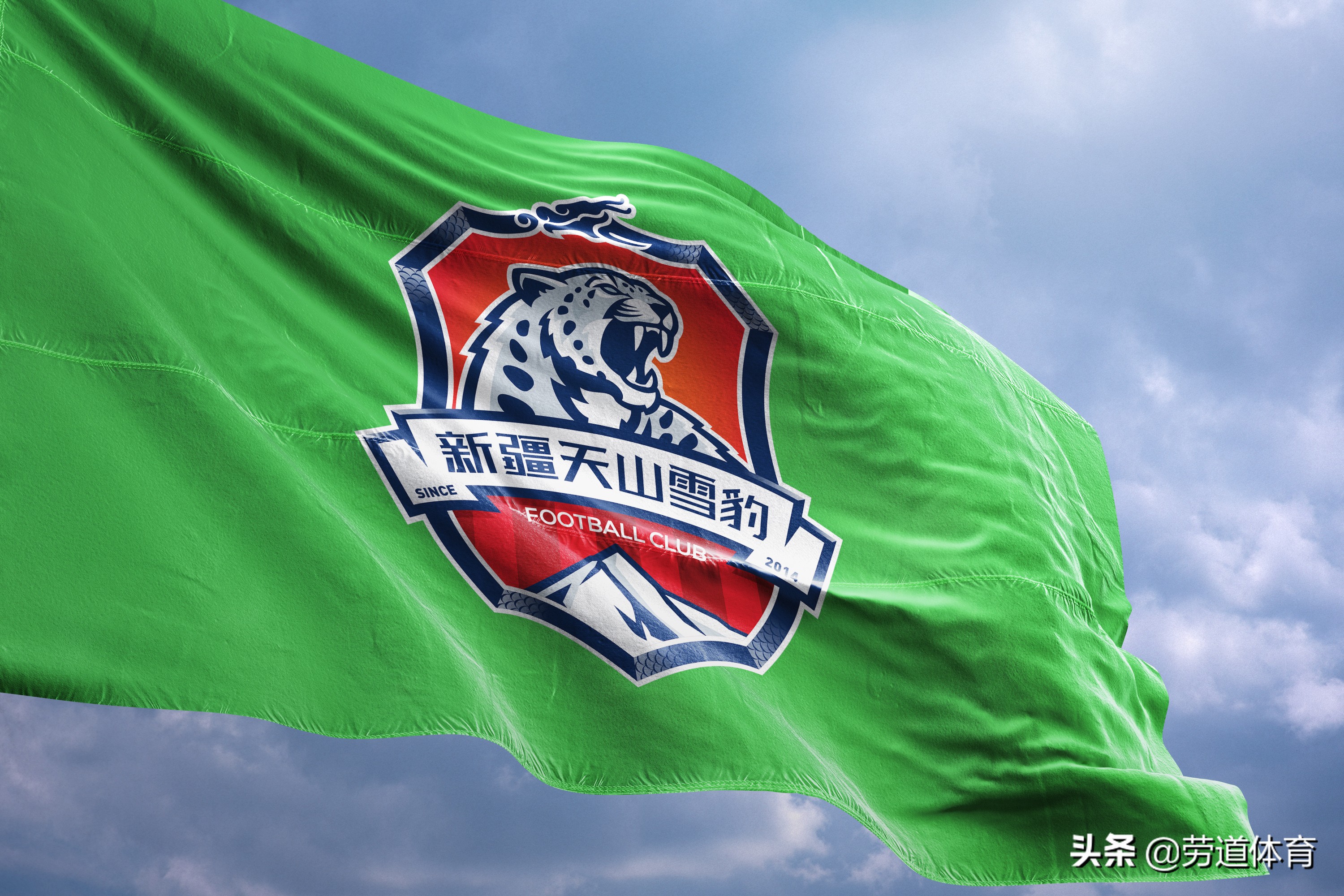 新疆天山雪豹队徽,新疆天山雪豹队徽图片