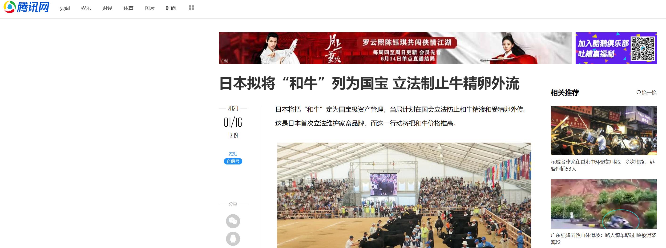 什么品种的牛肉是和牛,顶级和牛与普通牛肉有什么区别