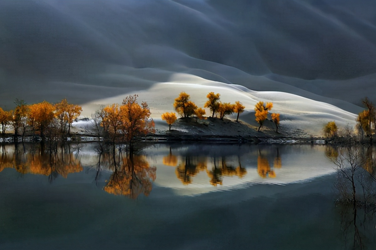 艺术家朗诵不朽的胡杨,千年不朽的胡杨